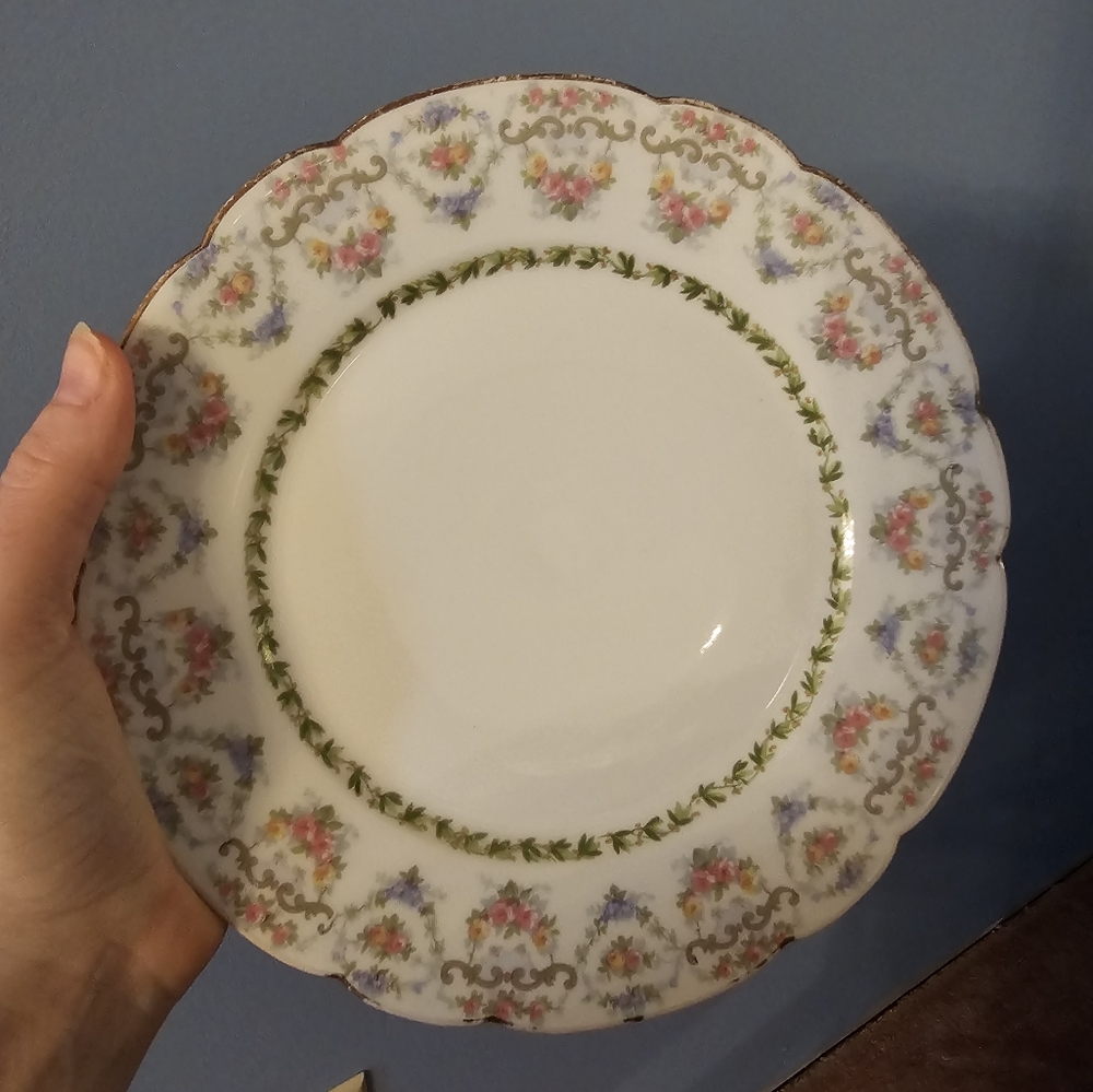 Beautiful designer plate